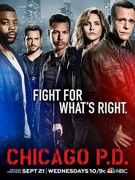 芝加哥警署 第四季 第16集