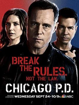 芝加哥警署 第二季 第20集