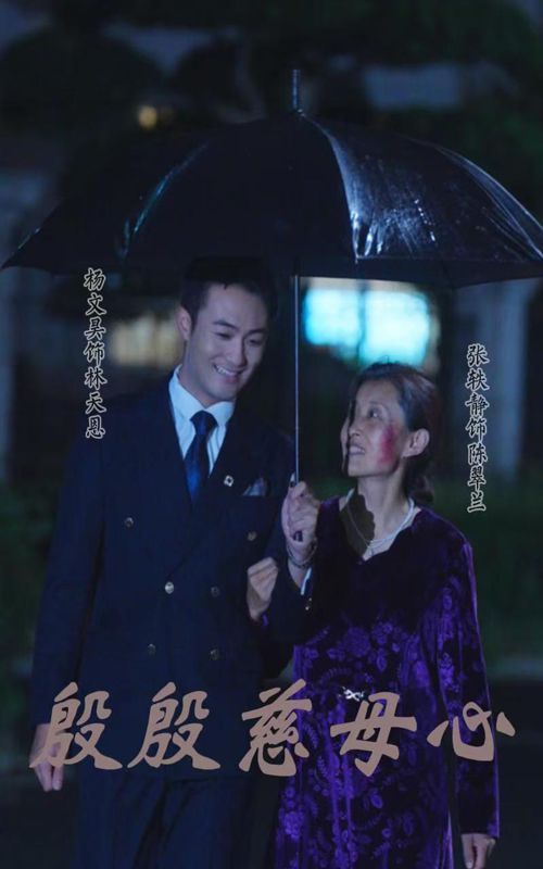 殷殷慈母心 第1-20集